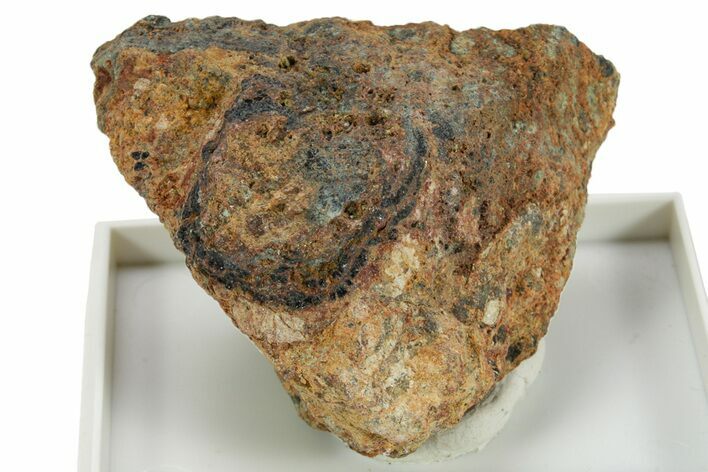 Uraninite (Pitchblende) Specimen - Uranium Based #380245